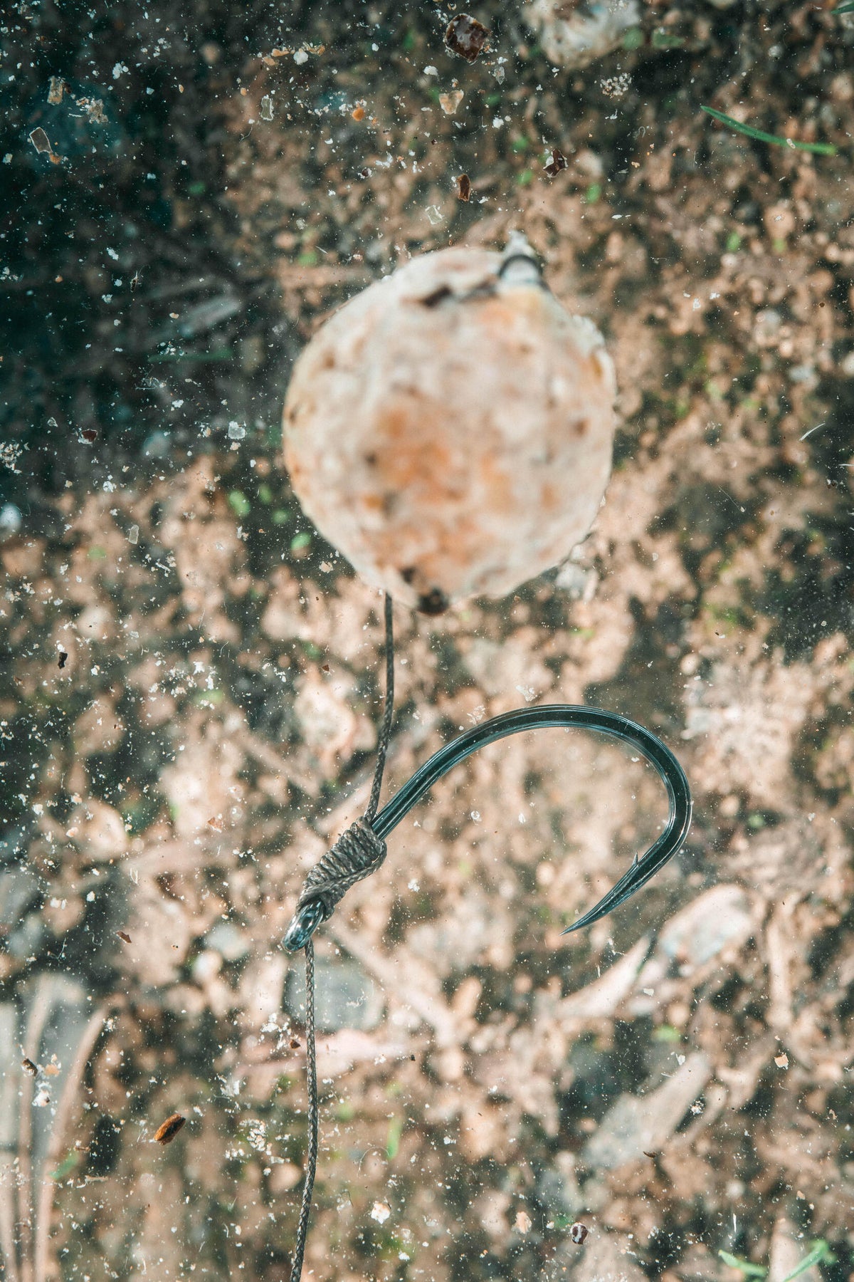 p2382711