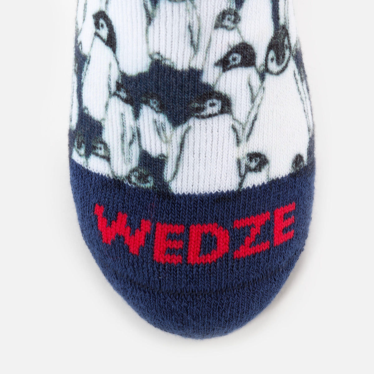 p2313254