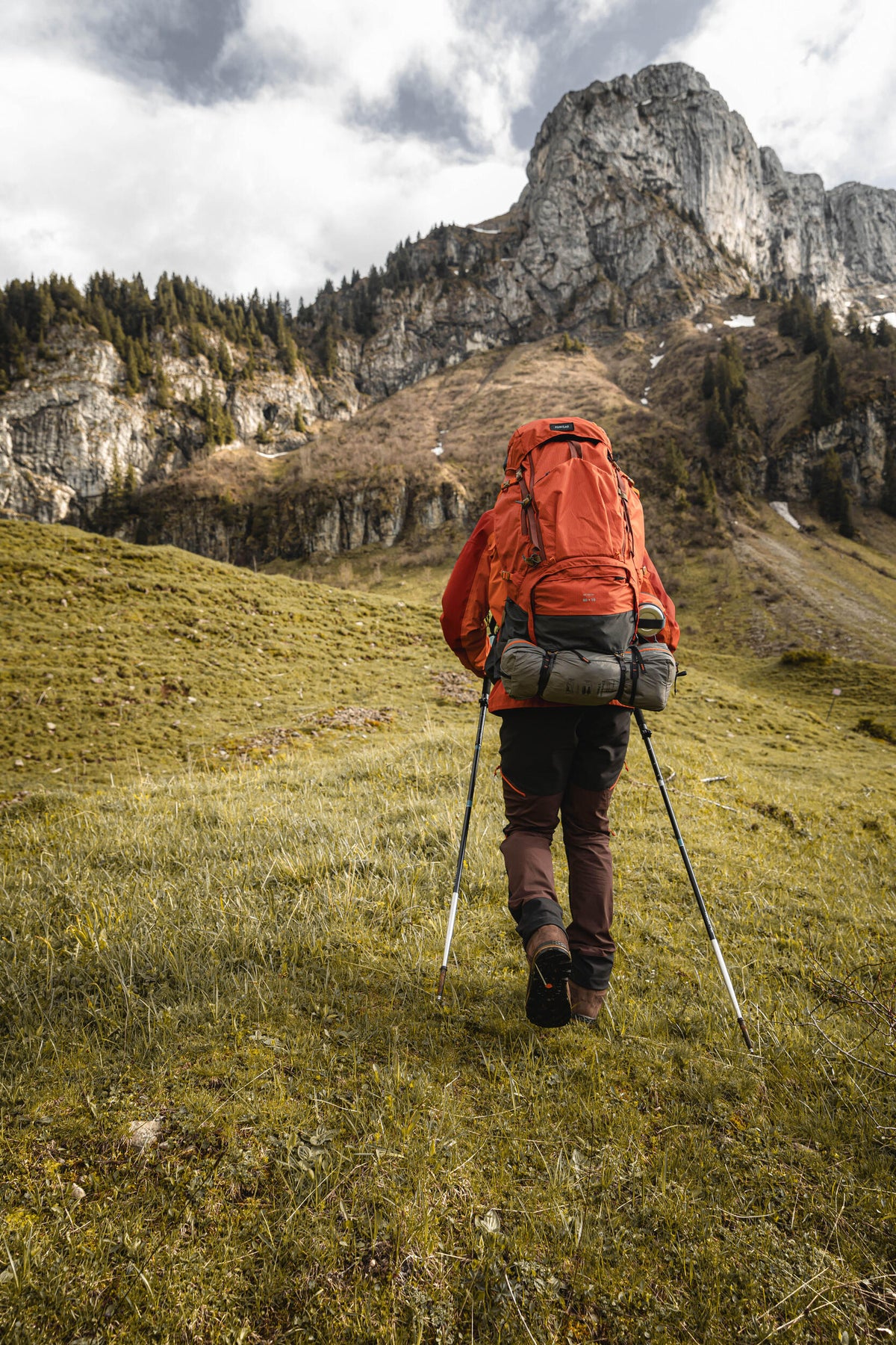 p2555517