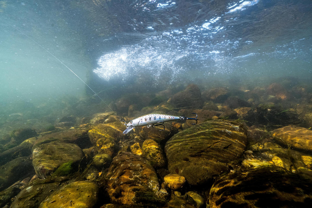 p2227053