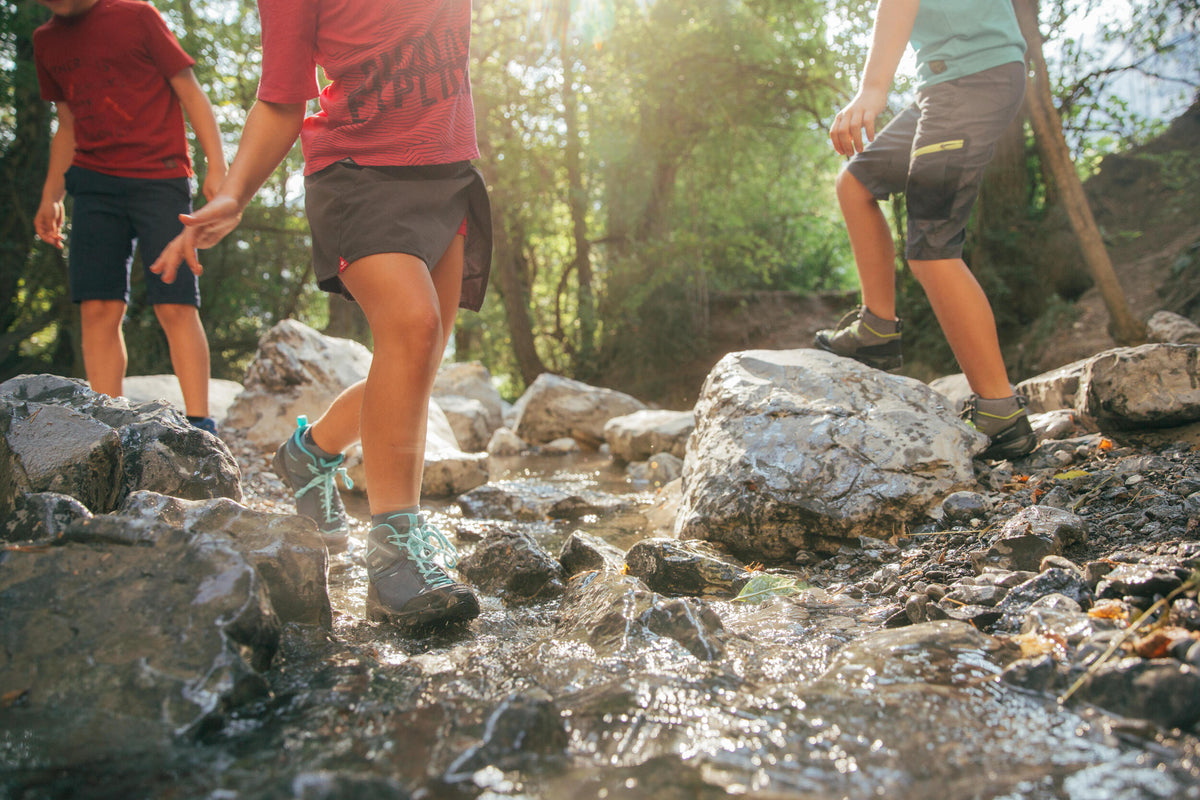 p1654652