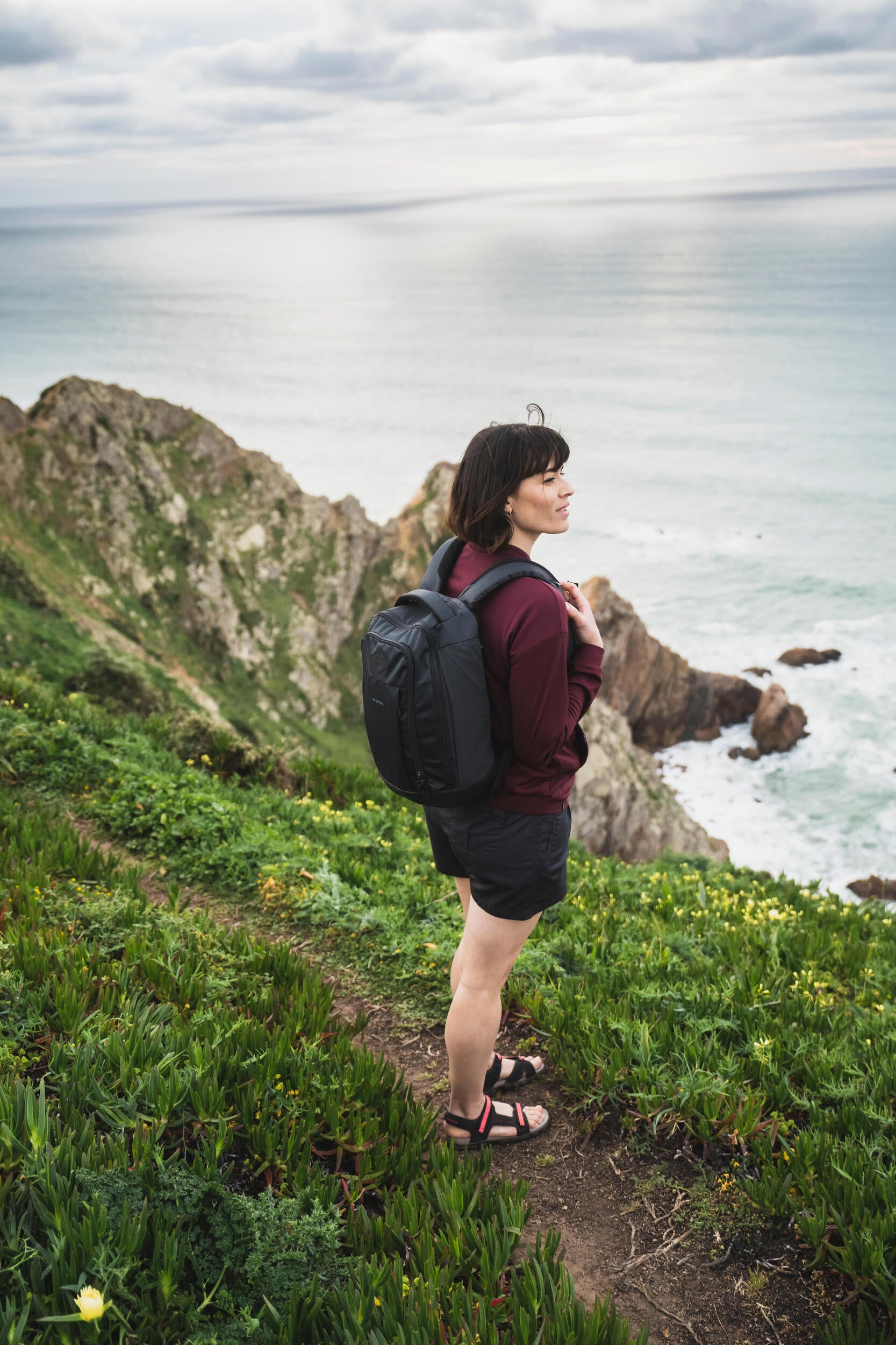 p2506405