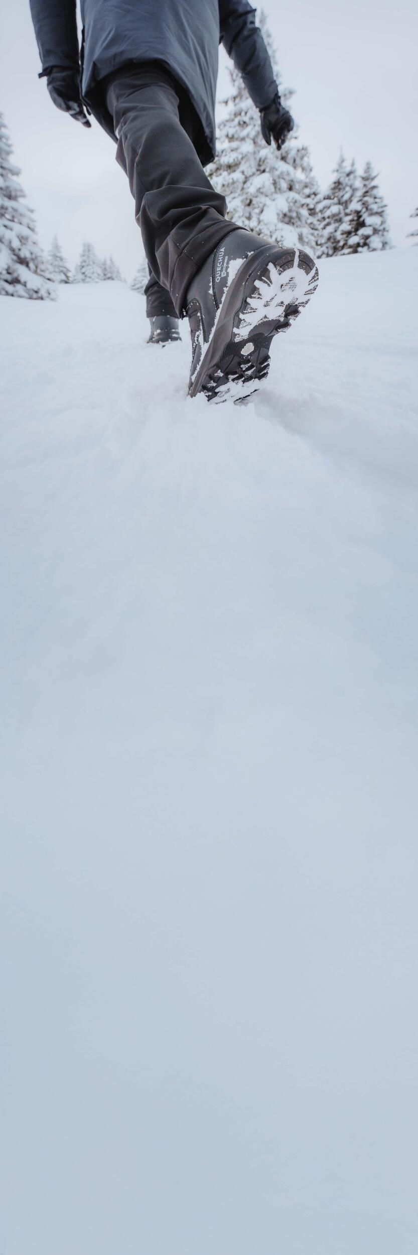 p2975828