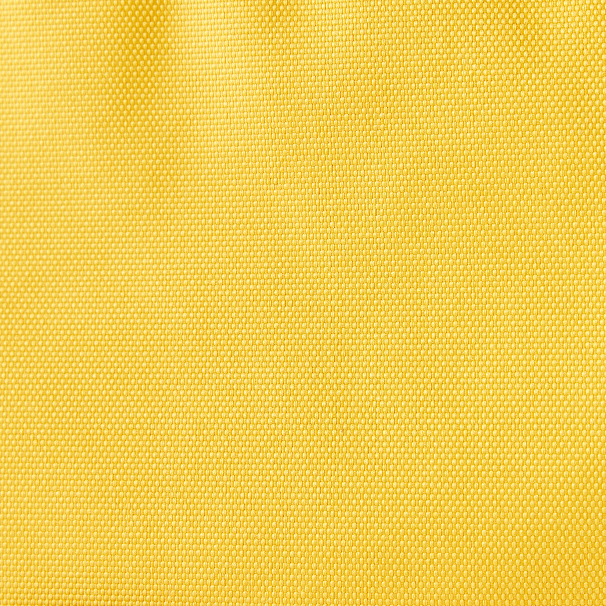 p2628958
