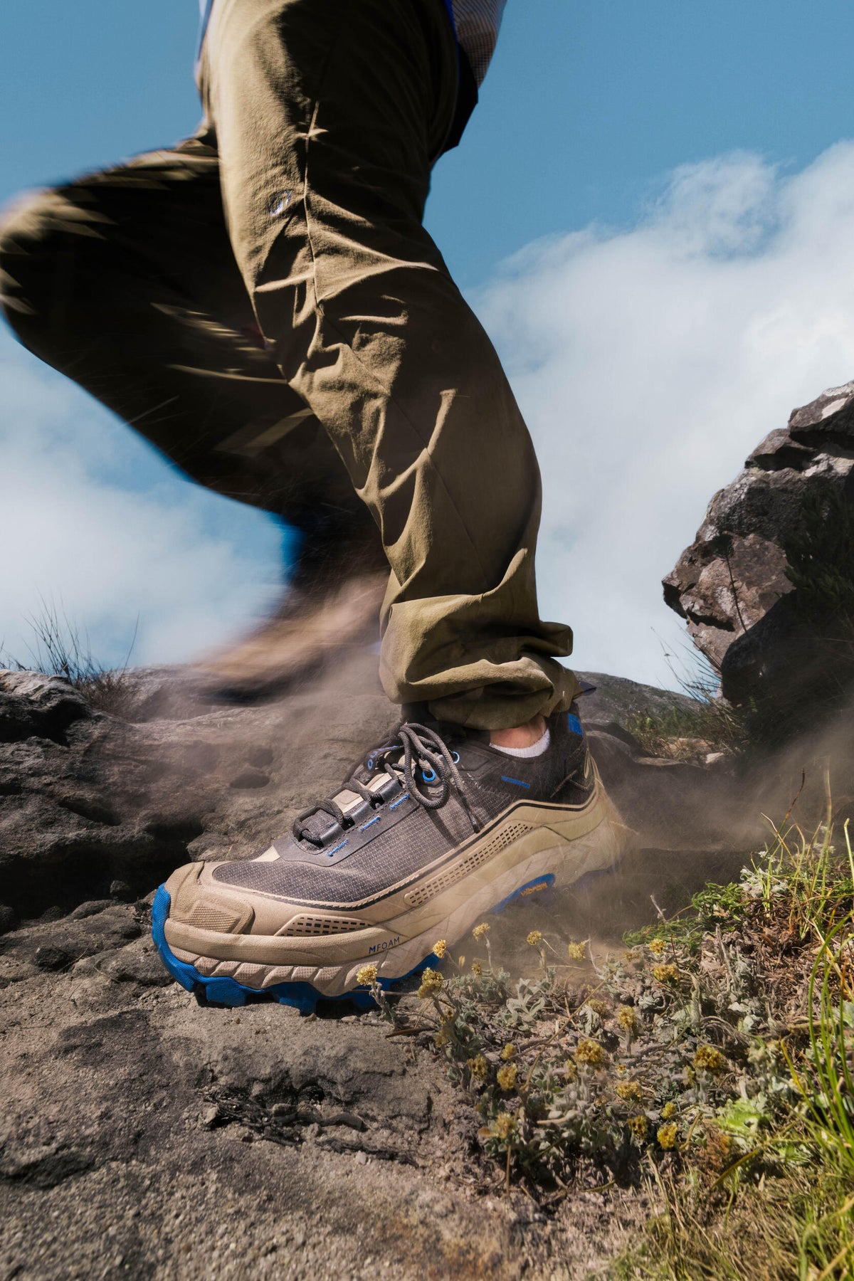 p3139621