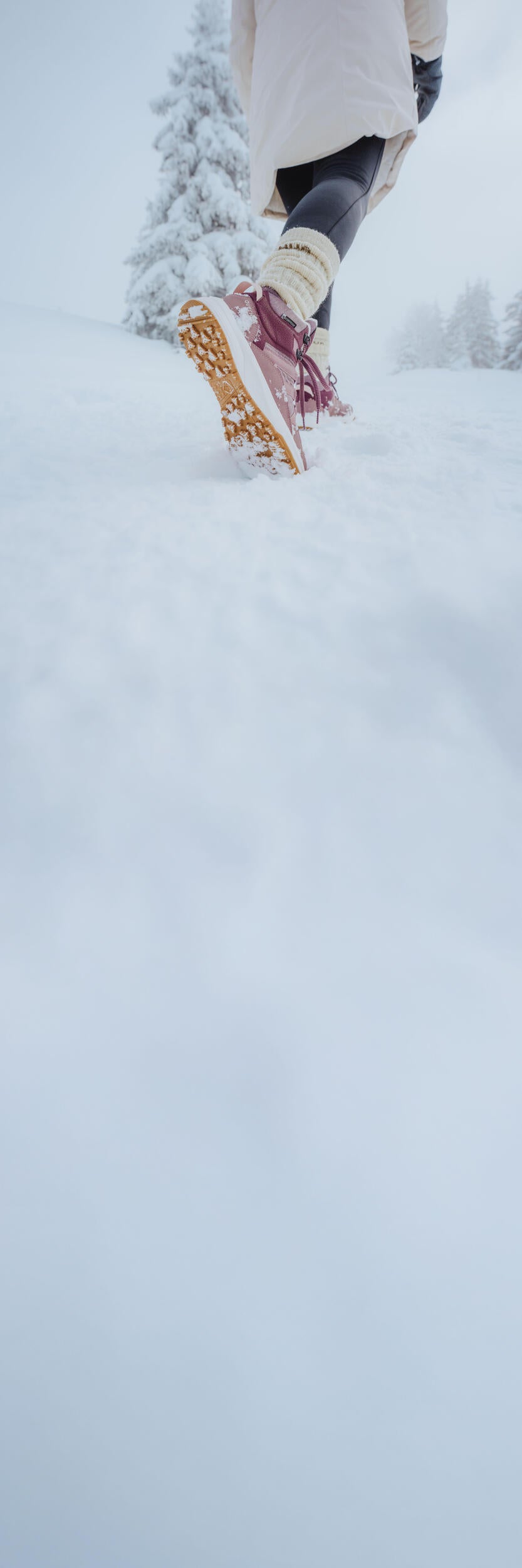 p2975822