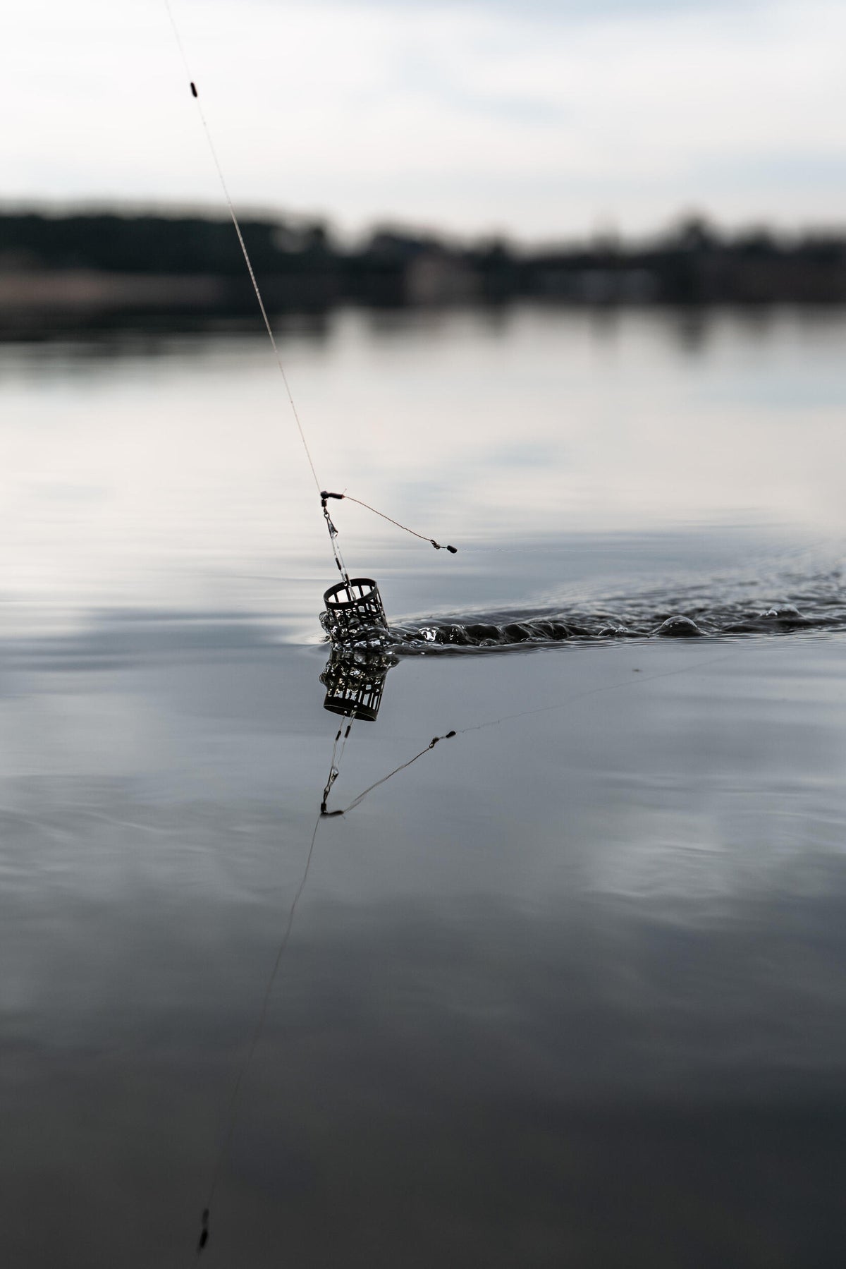 p2641304