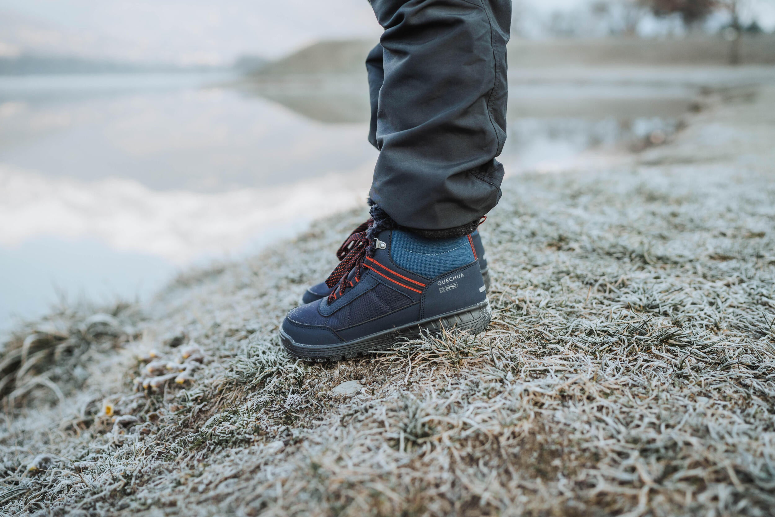 p2307507