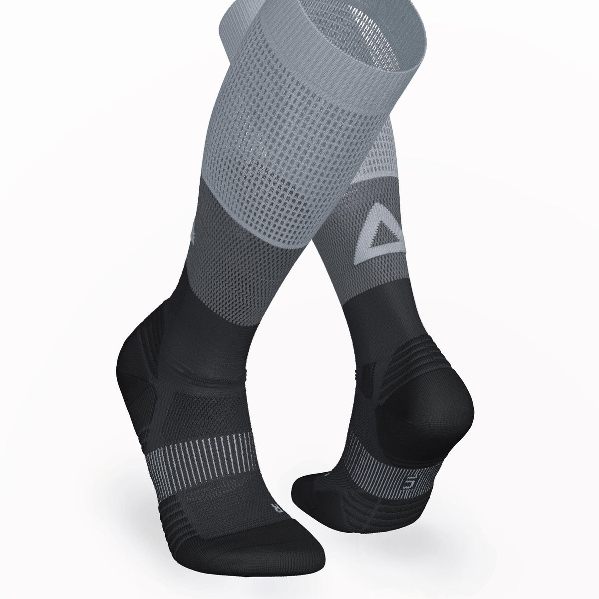 p2445230