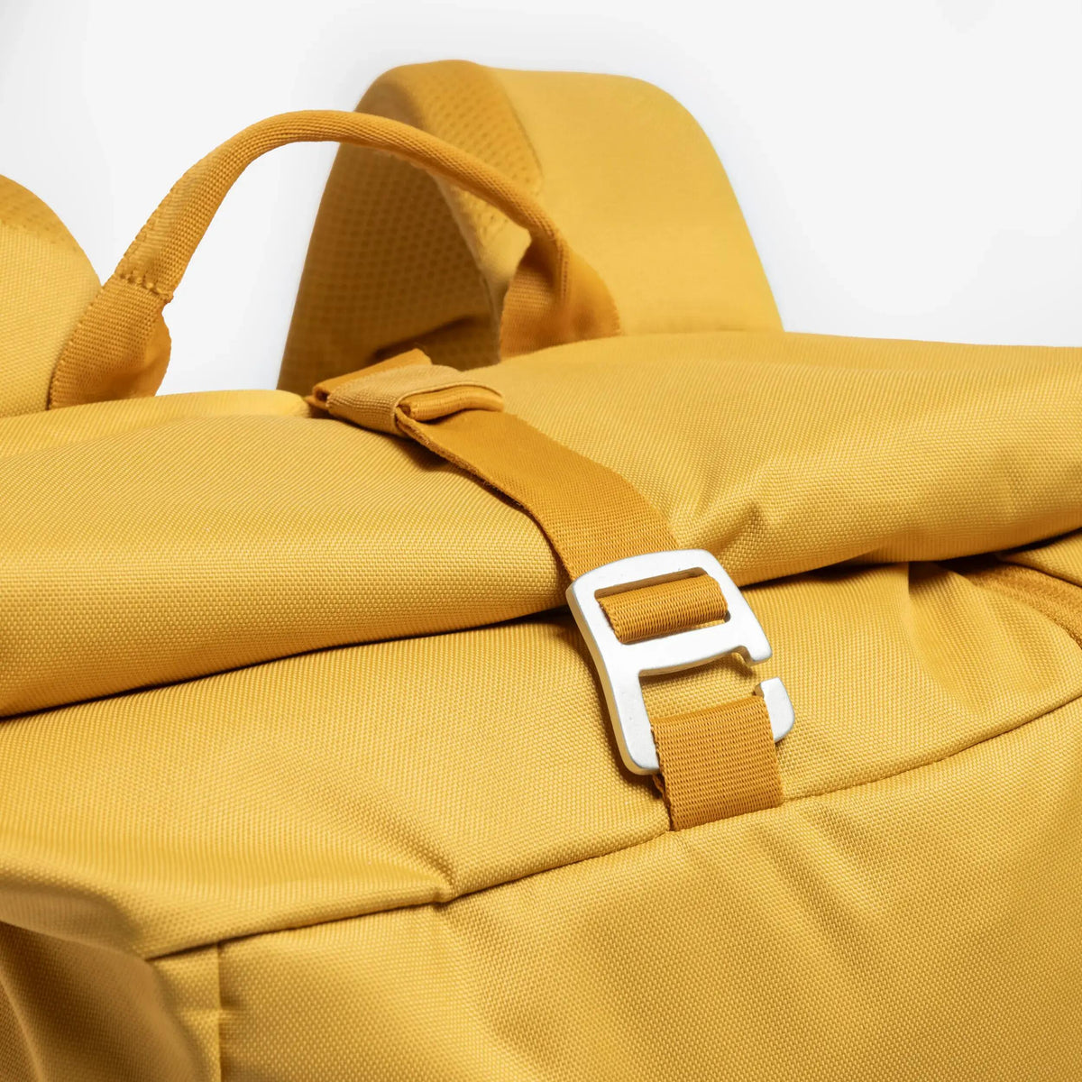 p3080719