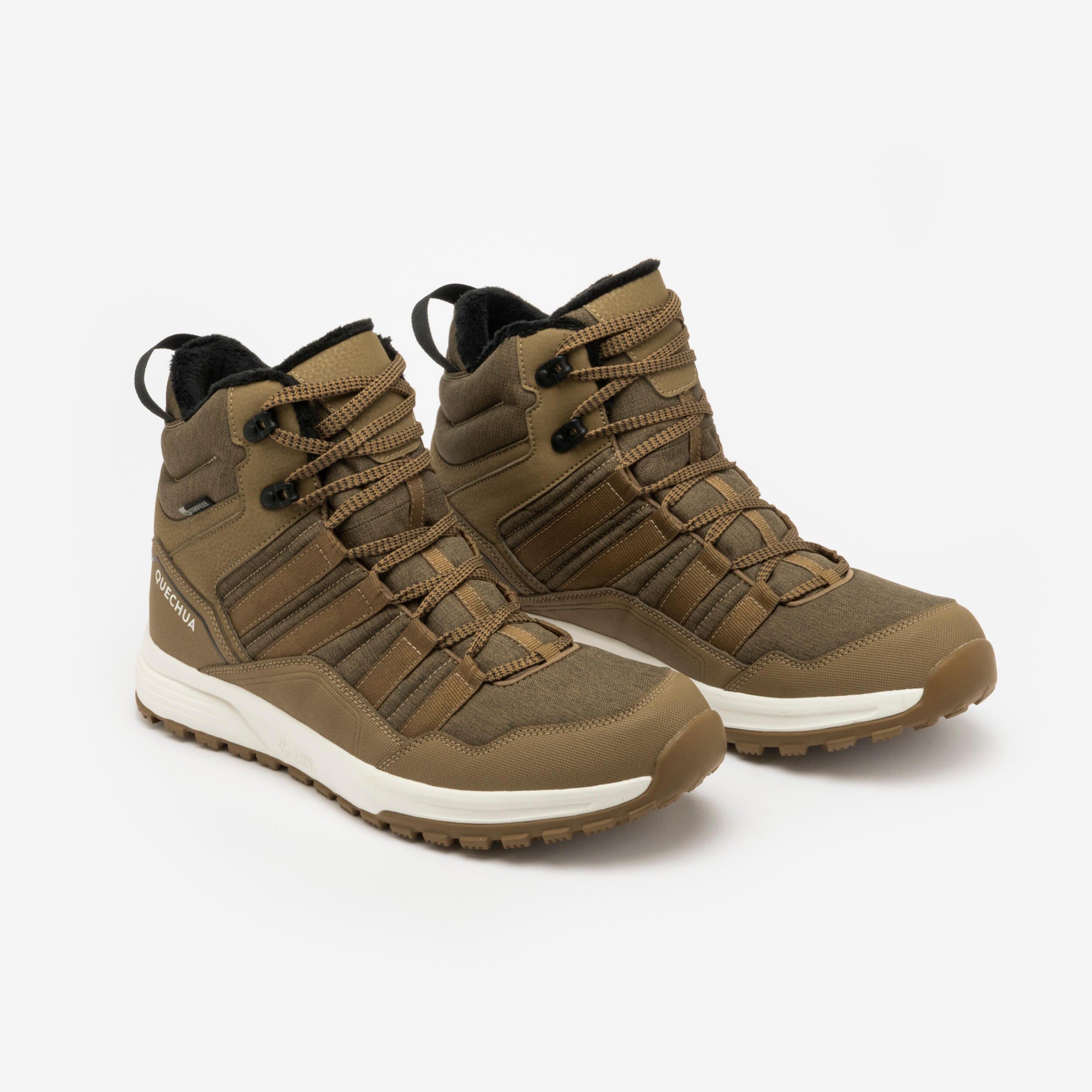 p2904626