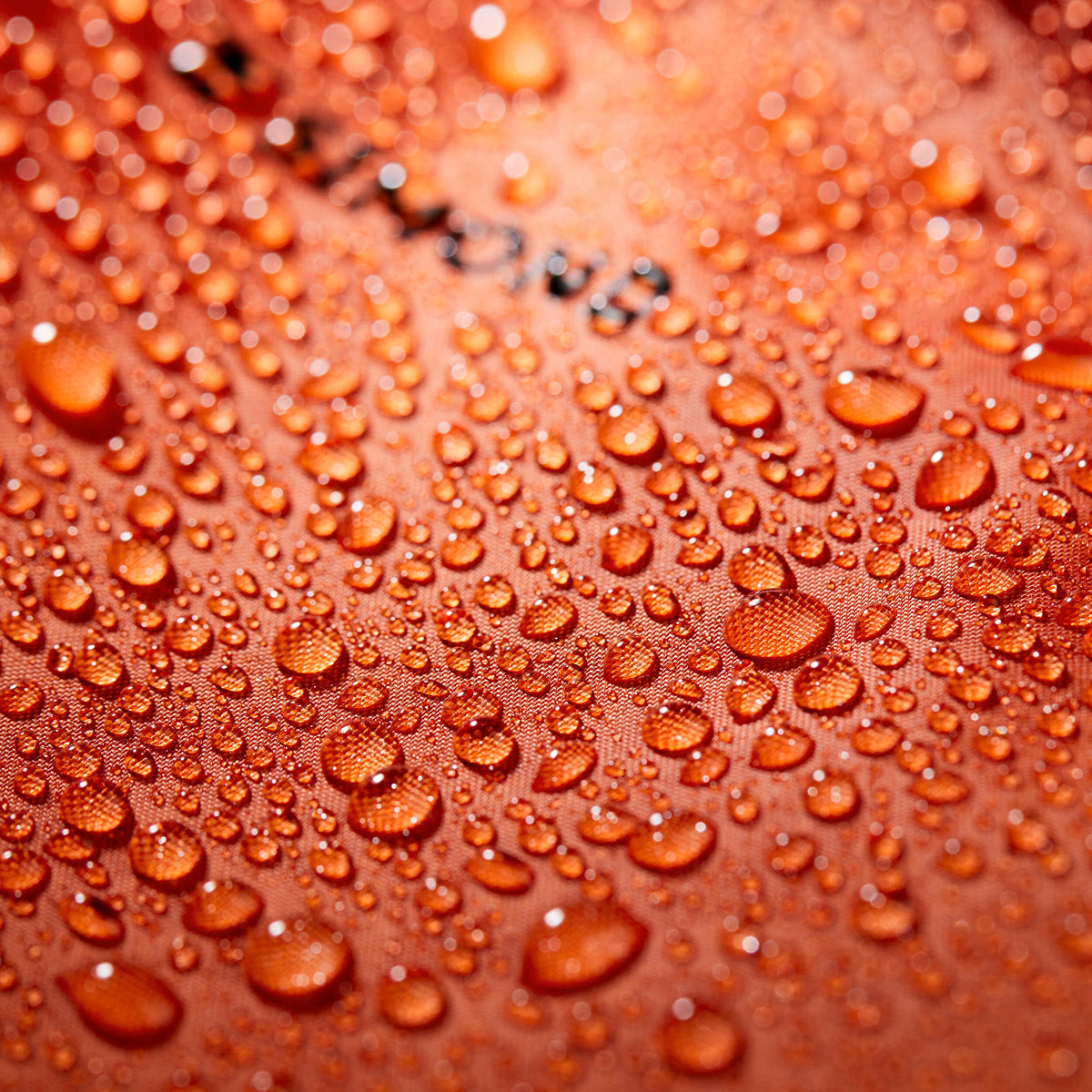 p2815583