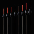 p1998073