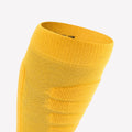 p2695561