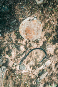p2382711