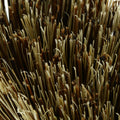 p356992