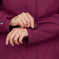 p1646004