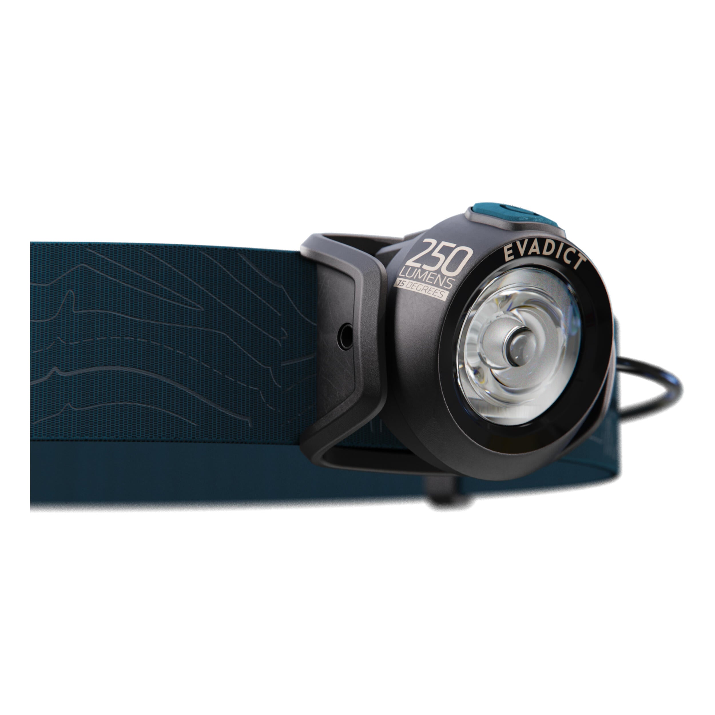 p2019117