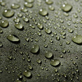 p2815590