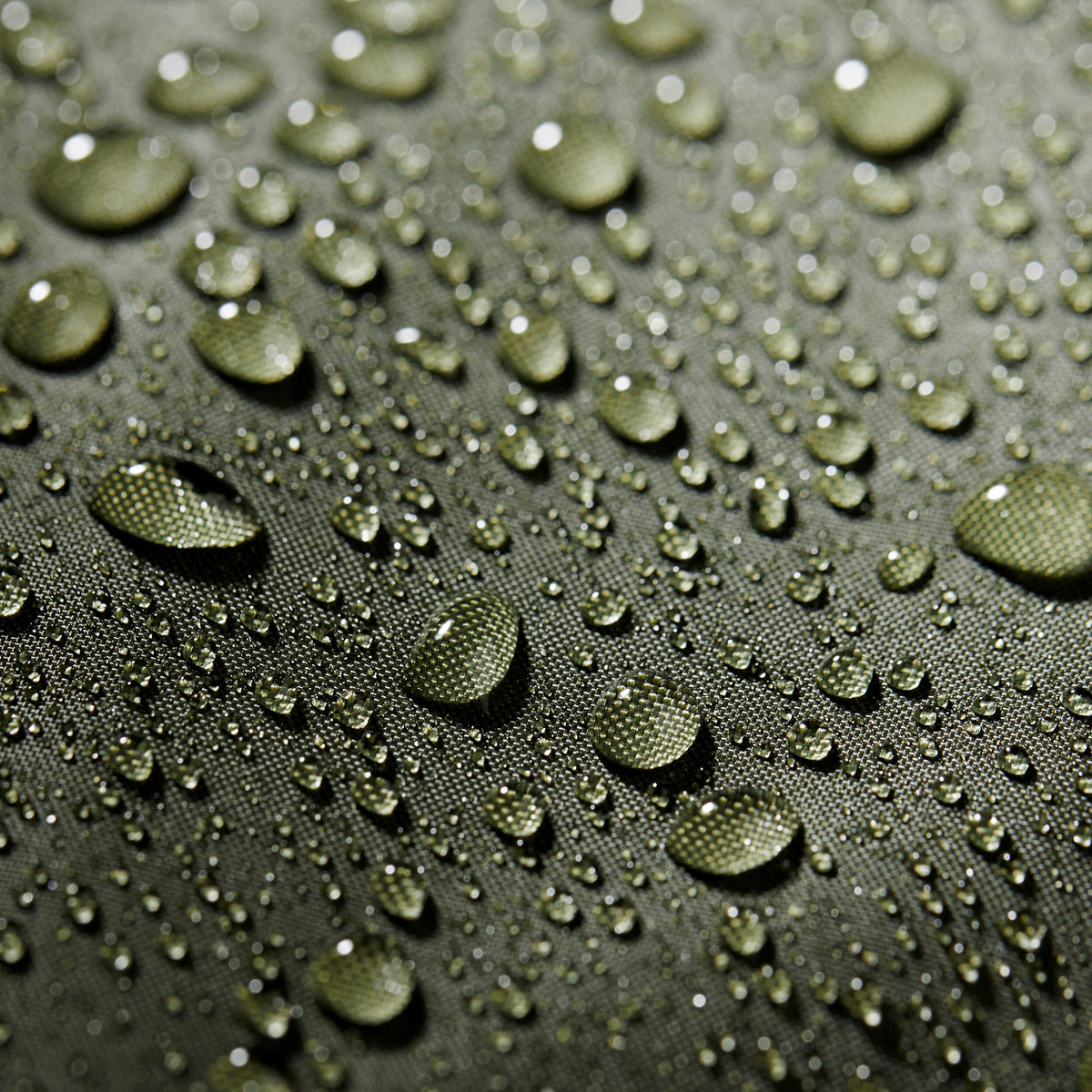 p2815590