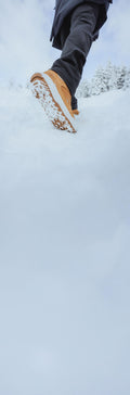 p2975827