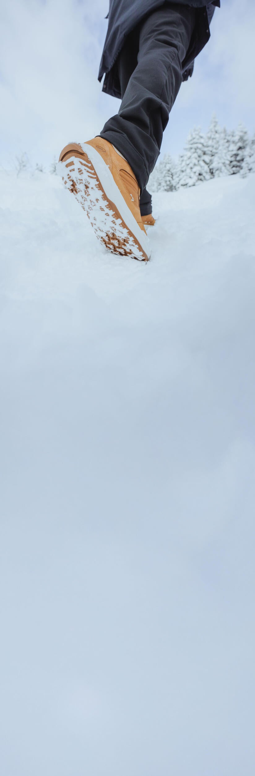 p2975827