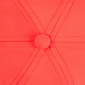 p1557953