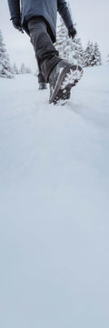 p2975828