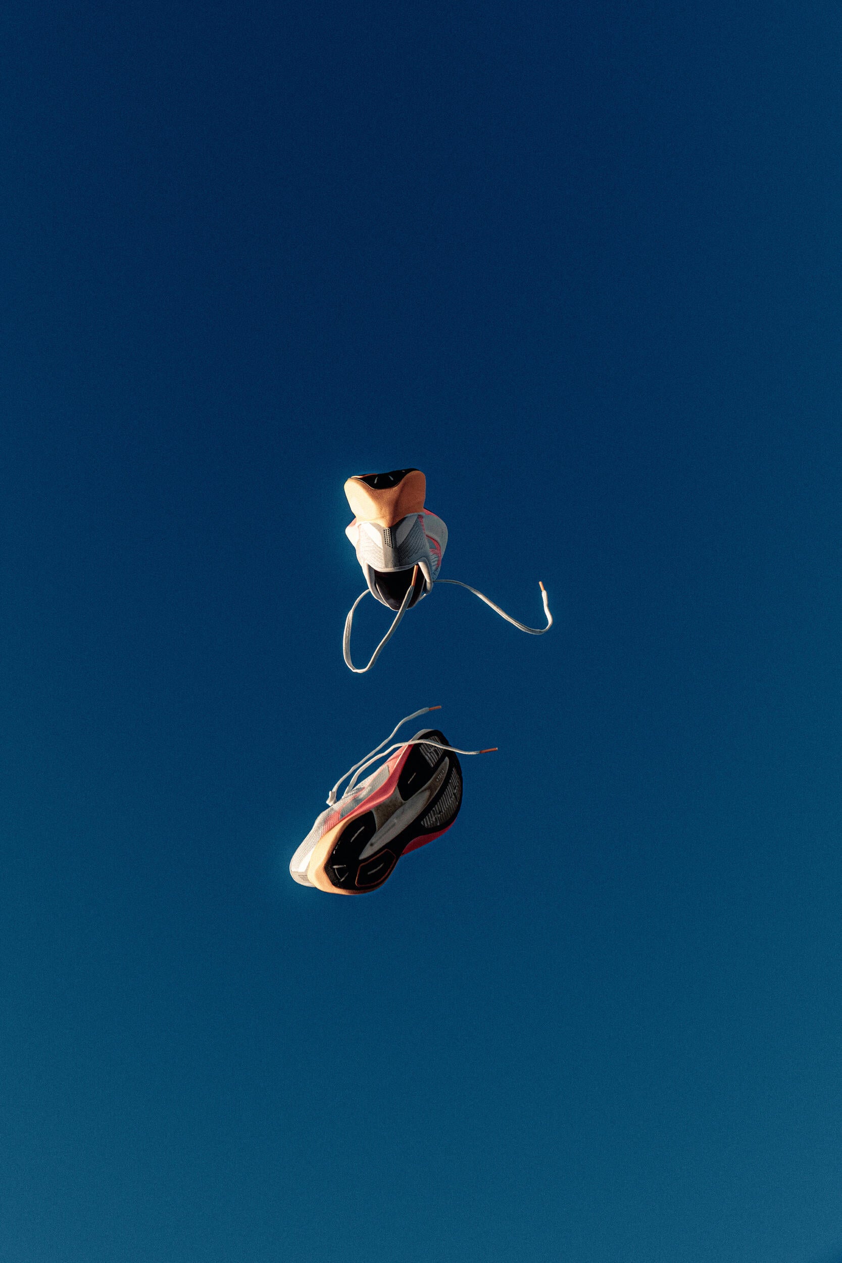p2927490