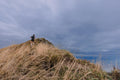 p2589618