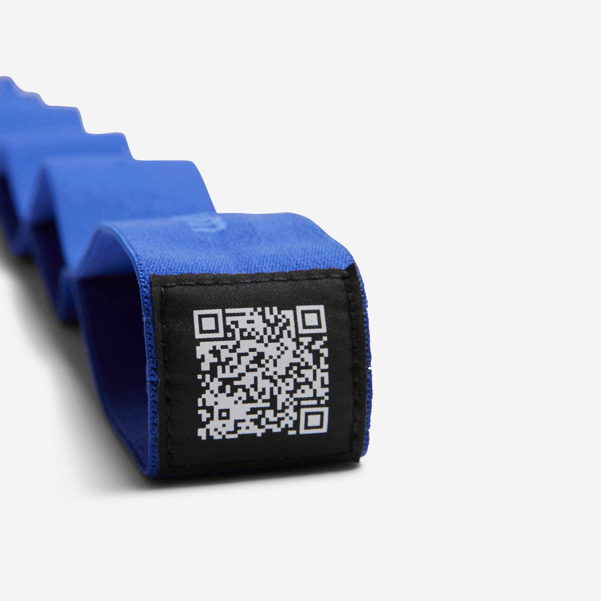 p2784407