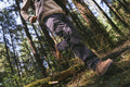 p2986907