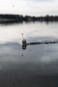 p2641304