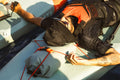 p2824918