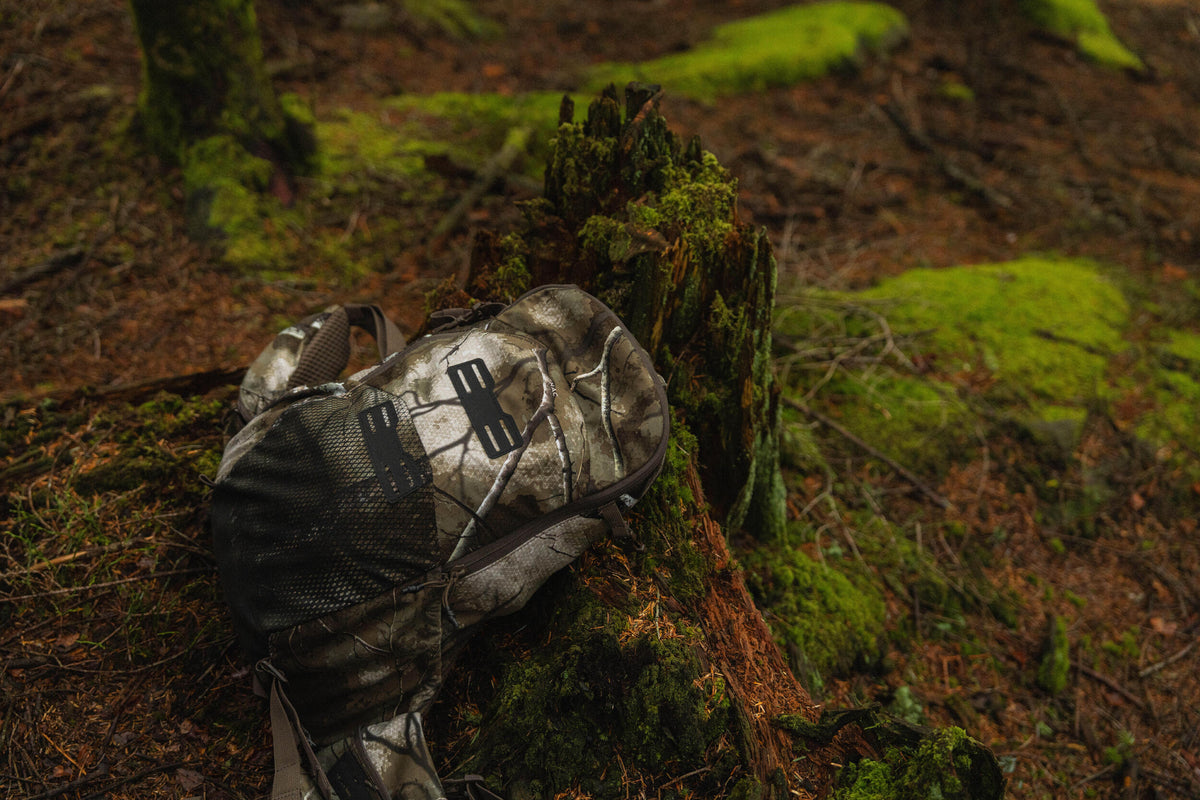 p3153351