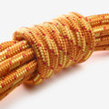 p2982331