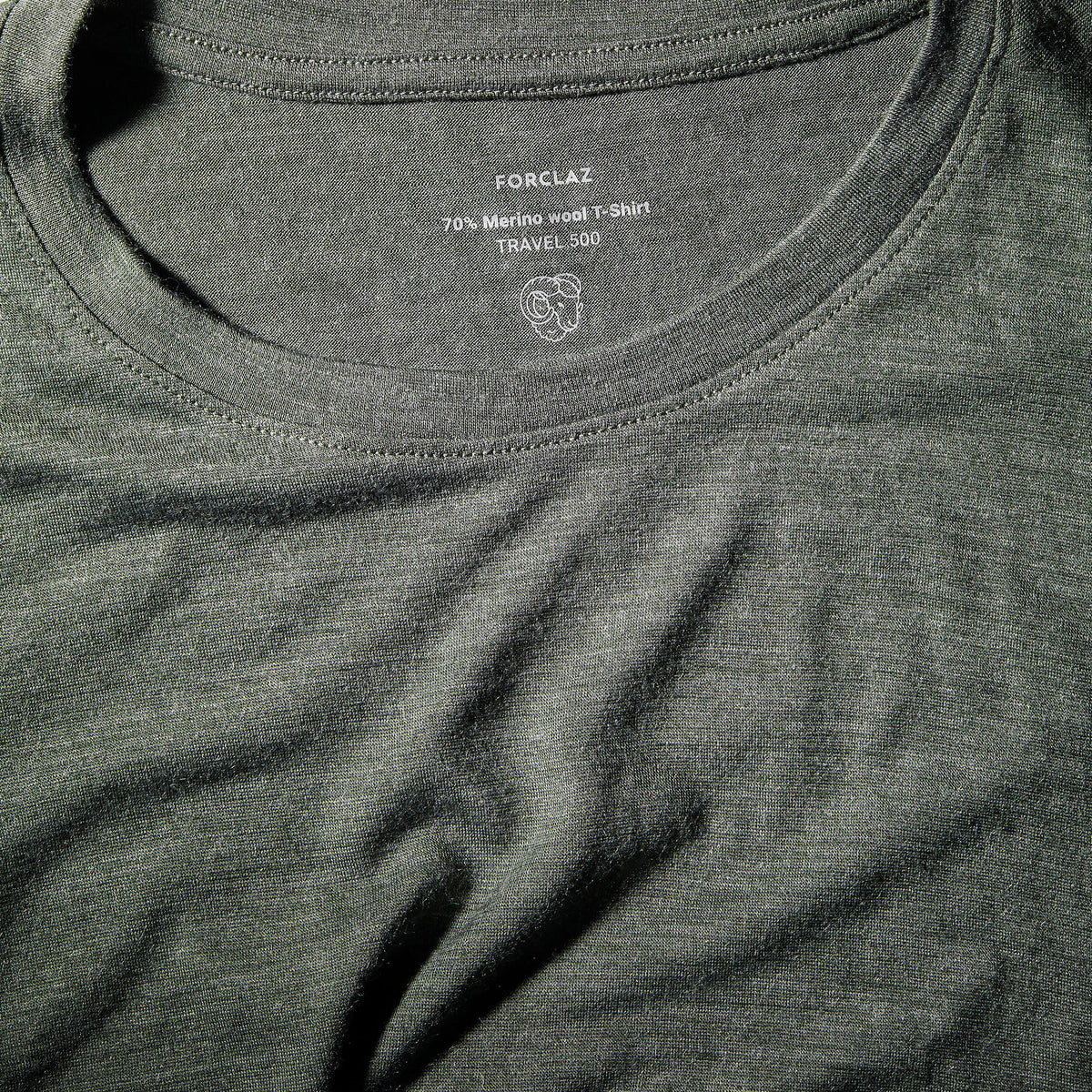p2601191