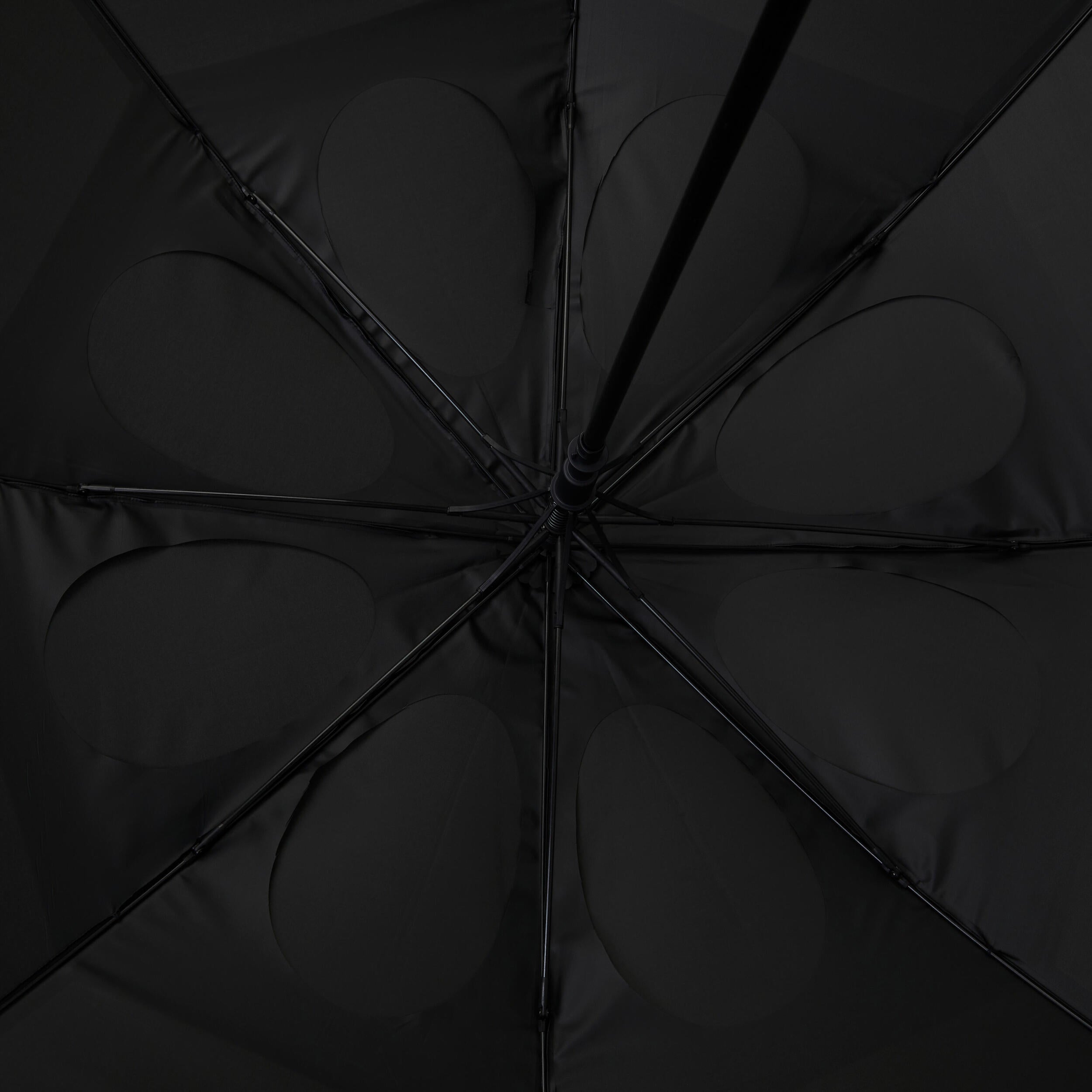 p2576438