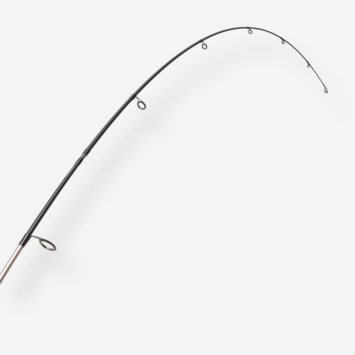 p3084831