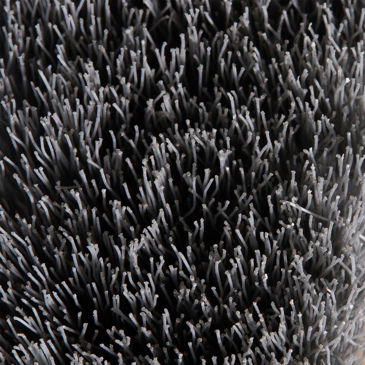 p1832506
