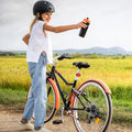 p2404110