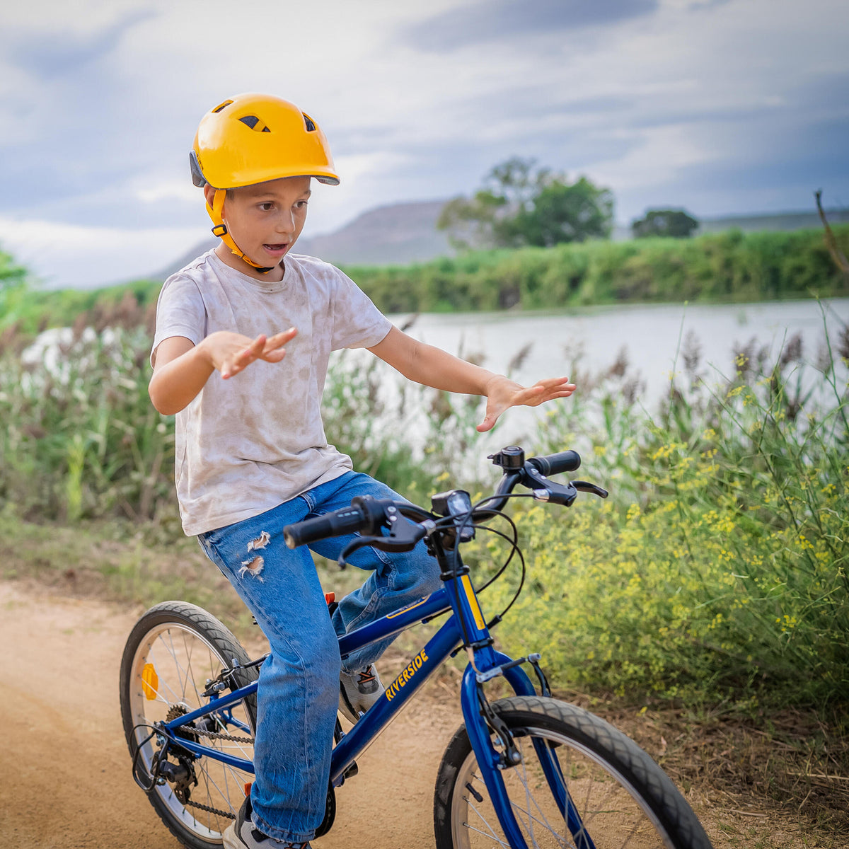 p2404421