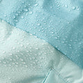 p3078379