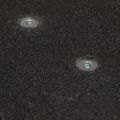 p2225125