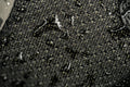 p1878335